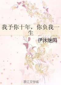 我予你十年，你负我一生封面