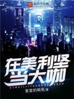 在美利坚当大咖封面