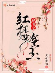 穿书之红楼黛玉封面