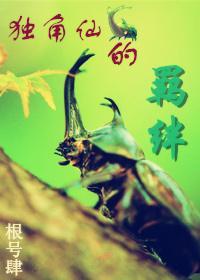 独角仙的羁绊封面
