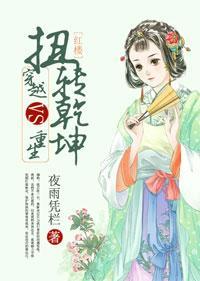 [红楼]穿越VS重生扭转干坤封面