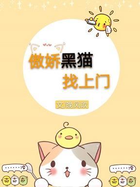傲娇黑猫找上门封面