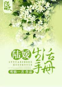 陆媛生活手册封面