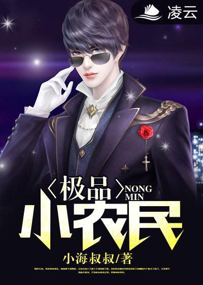 极品小农民封面