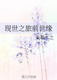 现世之旅前世缘封面