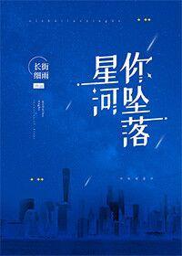 你坠落星河封面