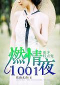 燃情1001夜：霍少，轻点宠封面