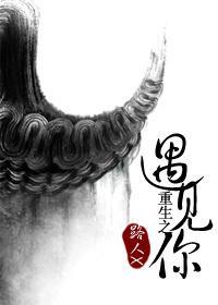 重生之遇见你封面