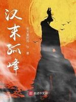 汉末孤峰封面