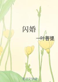 闪婚封面
