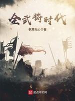 全武将时代封面
