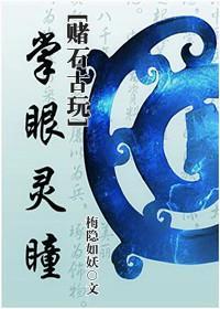 [赌石古玩]掌眼灵瞳封面