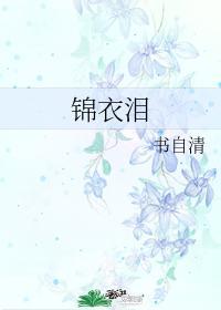 锦衣泪封面
