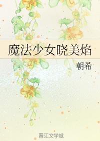 魔法少女晓美焰封面