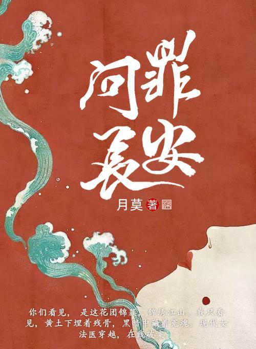 问罪长安封面