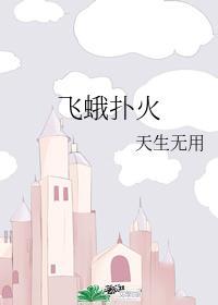 飞蛾扑火封面