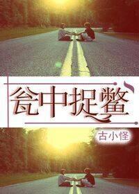 瓮中捉鳖封面