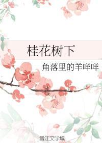 桂花树下封面