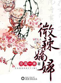 微辣嫡妇封面