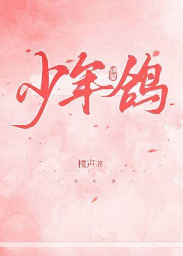 少年鸽封面