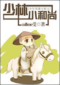 少林小和尚封面