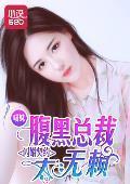 闪婚契约：腹黑总裁太无赖封面