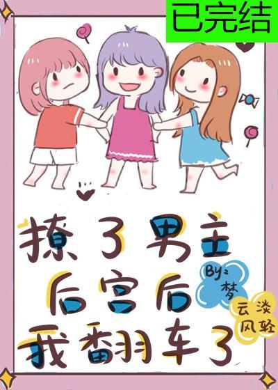 撩了男主后宫后我翻车了封面