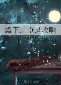 殿下，臣是攻啊封面
