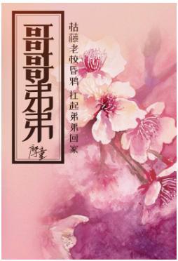 哥哥弟弟封面