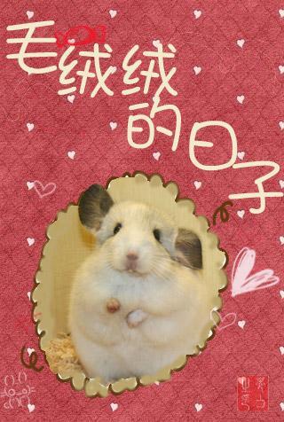 [网游]毛绒绒的日子封面