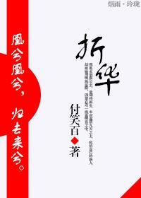 折华封面