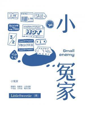 小冤家封面