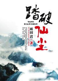 踏破仙尘封面