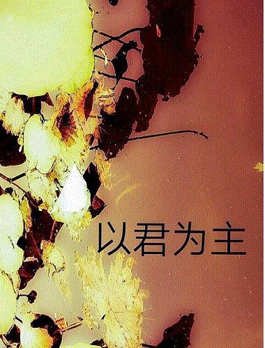 以君为主封面