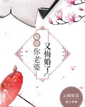 少帅,你老婆又悔婚了靳劭飏傅玉央封面