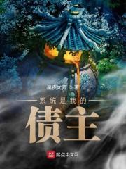 系统是我的债主封面