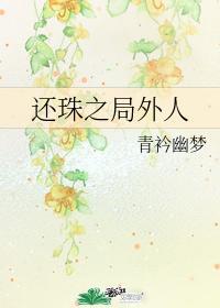 还珠之局外人封面