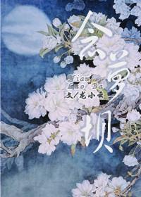 念萝坝封面