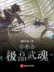 斗罗之极品武魂封面