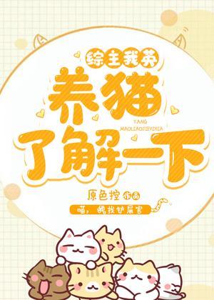[综]养猫了解一下封面