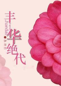 网游之丰华绝代封面