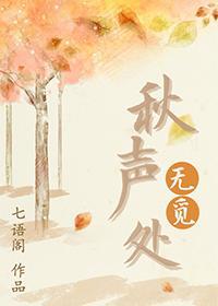 秋声无觅处封面