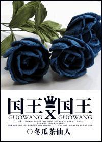 国王X国王封面