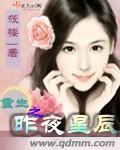 重生之昨夜星辰封面