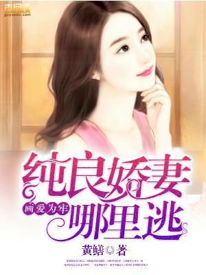 画爱为牢：纯良娇妻哪里逃封面