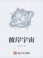 彼岸宇宙封面