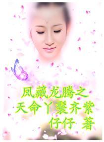凤藏龙腾之天命丫鬟齐紫封面