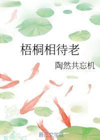 梧桐相待老封面