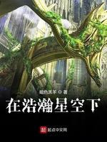 在浩瀚星空下封面