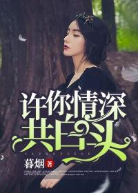 许你情深共白头封面